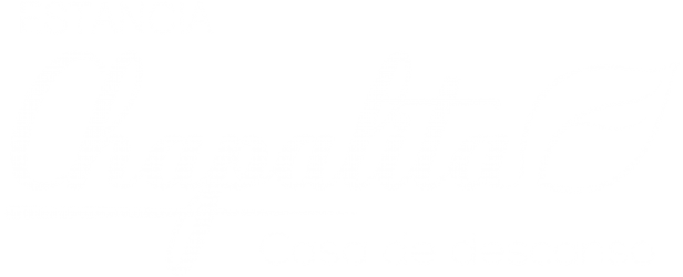 Estancia Chapalita